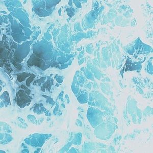 Meet your Posher, Bernice